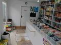 Магазины и бутики · 18 м² за 7 млн ₸ в Рудном — фото 6