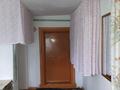 Отдельный дом · 2 комнаты · 41 м² · 29 сот., Заречная — С.Бобровка за 4.9 млн ₸ в Усть-Каменогорске — фото 22