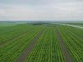 3-бөлмелі пәтер · 78.53 м² · 8/9 қабат, Е-321 — В СЛЕДУЮЩЕМ МЕСЯЦЕ ПЕРЕДАЧА КЛЮЧЕЙ ! ЖК КОМФОРТ ПЛЮС КЛАССА, застройщик BI GROUP. Одна из лучших локации по проспекту Мангилик ел, экологичный район-Зеленый пояс, бағасы: ~ 40.9 млн ₸ в Астане, Есильский р-н — фото 50