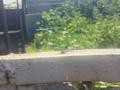 Часть дома · 4 комнаты · 120 м² · 18 сот., Абая 54 — Село Пресное за 5 млн ₸ в Чернорецком — фото 18