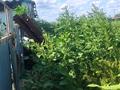 Часть дома · 4 комнаты · 120 м² · 18 сот., Абая 54 — Село Пресное за 5 млн ₸ в Чернорецком — фото 20