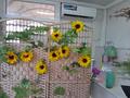 Дүкендер мен бутиктер · 22.5 м², бағасы: 4.9 млн ₸ в Павлодаре — фото 2