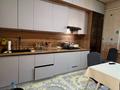 Отдельный дом · 4 комнаты · 200 м² · 6 сот., Рауан 110 за 25 млн ₸ в Баскудуке — фото 12