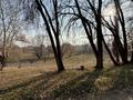 Жер телімі · 200 сотық, Алмалыбақ (КИЗ), бағасы: 135 млн ₸ в  — фото 2