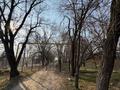 Жер телімі · 200 сотық, Алмалыбақ (КИЗ), бағасы: 135 млн ₸ в 