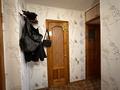 2-комнатная квартира · 45.6 м² · 7/9 этаж, Назарбаева 18 за 15 млн ₸ в Кокшетау — фото 4