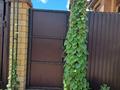 Отдельный дом · 3 комнаты · 171.3 м² · 4.65 сот., Дальневосточная ЦЕНА ДОГОВОРНАЯ — Нурмагамбетова за 130 млн ₸ в Павлодаре — фото 7