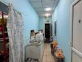 Отдельный дом · 3 комнаты · 171.3 м² · 4.65 сот., Дальневосточная ЦЕНА ДОГОВОРНАЯ — Нурмагамбетова за 130 млн ₸ в Павлодаре — фото 46