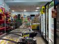Отдельный дом · 3 комнаты · 171.3 м² · 4.65 сот., Дальневосточная ЦЕНА ДОГОВОРНАЯ — Нурмагамбетова за 130 млн ₸ в Павлодаре — фото 43