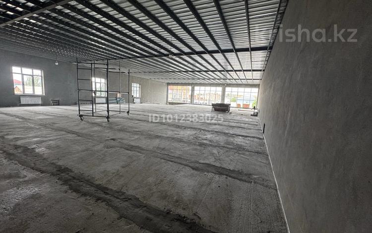 Еркін · 1000 м², бағасы: 4.5 млн ₸ в  — фото 2