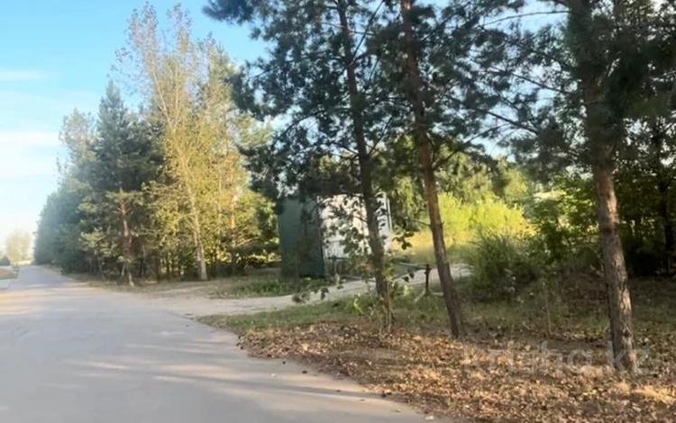 Жер телімі · 10 сотық, Озерная 1, бағасы: 17.5 млн ₸ в Мичуринское — фото 2
