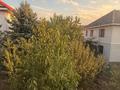 Отдельный дом · 6 комнат · 270 м² · 8 сот., Елубаева — Мкр Жайлау. за 110 млн 〒 в Туздыбастау (Калинино) — фото 10