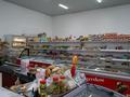 Магазины и бутики · 400 м² за ~ 400 млн ₸ в Шымкенте, Туран р-н — фото 21