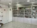 Магазины и бутики, медцентры и аптеки • 68 м² за 28 млн 〒 в Талдыкоргане — фото 4