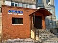 Еркін, дүкендер мен бутиктер · 110 м², бағасы: 27 млн ₸ в Хромтау — фото 2