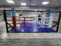 Фитнес и спорт · 145 м² за 150 000 ₸ в Алматы, Турксибский р-н — фото 11