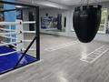 Фитнес и спорт · 145 м² за 150 000 ₸ в Алматы, Турксибский р-н — фото 8