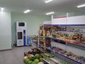 Магазины и бутики • 56 м² за 18.9 млн 〒 в Астане, Есильский р-н — фото 9