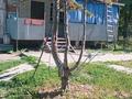 Отдельный дом · 3 комнаты · 70 м² · 25 сот., Нижний донское 17 — Возле Иртыш за 10 млн ₸ в Усть-Каменогорске — фото 2