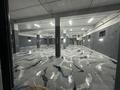 Свободное назначение · 660 м² за ~ 1.7 млн ₸ в Шымкенте, Туран р-н — фото 8