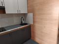 1-комнатная квартира · 30 м² · 1/2 этаж, Поповича 34 за 100 000 ₸ в Затобольске (Тобыле) — фото 15