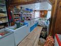 Магазин и кафе · 400 м² за 27 млн ₸ в Балкашине — фото 3