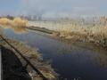 Промбаза · 3 га, мкр Аса 1 — Село Гродиково за 320 млн ₸ в Таразе — фото 23