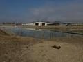 Промбаза · 3 га, мкр Аса 1 — Село Гродиково за 320 млн ₸ в Таразе — фото 24