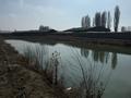 Промбаза · 3 га, мкр Аса 1 — Село Гродиково за 320 млн ₸ в Таразе — фото 29