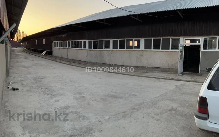 Промбаза · 3 га, мкр Аса 1 — Село Гродиково за 320 млн ₸ в Таразе — фото 32