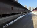 Промбаза · 3 га, мкр Аса 1 — Село Гродиково за 320 млн ₸ в Таразе — фото 8
