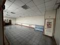 Свободное назначение · 100 м² за 11.5 млн ₸ в Новоишимском — фото 5