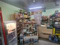 Магазины и бутики • 50 м² за 16 млн 〒 в Щучинске — фото 3