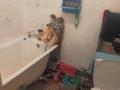 1-комнатная квартира · 29.7 м² · 8/9 этаж, Новаторова 3 за ~ 8.7 млн ₸ в Усть-Каменогорске, Ульбинский — фото 15