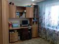 Отдельный дом · 4 комнаты · 100 м² · 11 сот., Тенистая 6 — Минимаркет жаркент за 39.5 млн ₸ в Байтереке (Новоалексеевке) — фото 4
