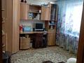 Отдельный дом · 4 комнаты · 100 м² · 11 сот., Тенистая 6 — Минимаркет жаркент за 39.5 млн ₸ в Байтереке (Новоалексеевке) — фото 5