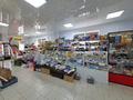 Свободное назначение, офисы, магазины и бутики, склады, общепит, салоны красоты, сельское хозяйство, бани, гостиницы и зоны отдыха, медцентры и аптеки, образование, развлечения · 417 м² за 67 млн ₸ в Костанайской обл., Щербаково — фото 5