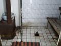 Часть дома · 4 комнаты · 120 м² · 120 сот., Сатпаева 184/2 за 22 млн ₸ в Шу — фото 13