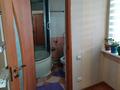 Отдельный дом · 5 комнат · 180 м² · 8 сот., Туркестан — Астана за 320 000 ₸ в Бельбулаке (Мичурино) — фото 13
