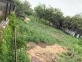 Участок · 12.1 сотка, мкр Баганашыл, Фруктовая 30 за 205 млн ₸ в Алматы, Бостандыкский р-н — фото 3