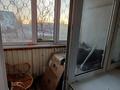 2-комнатная квартира · 45 м² · 1/6 этаж, Беркимбаева 98 за ~ 12.5 млн ₸ в Экибастузе — фото 11