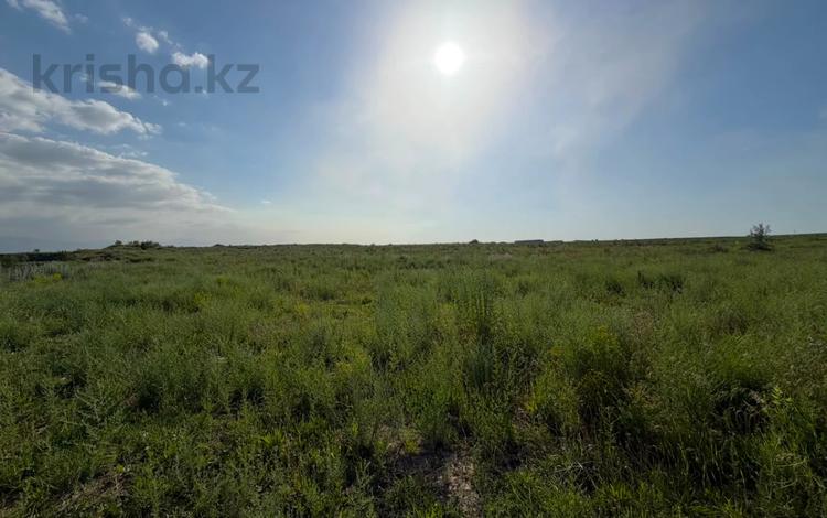 Өнеркәсіптік база · 150 сотық, Жана курылыс 302, бағасы: 375 млн ₸ в Коктагане (Чапаеве) — фото 3