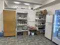 Общепит · 63 м² за 700 000 ₸ в Алматы, Медеуский р-н — фото 15