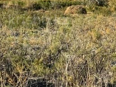 Участок · 10 соток, М. Күзенбаев за ~ 3.3 млн ₸ в Казалинске