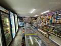 Жеке үй · 5 бөлме · 250 м² · 5 жүзд., Найманбаева 214, бағасы: 128 млн ₸ в Семее — фото 21