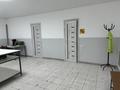 Свободное назначение · 80 м² за 26 млн ₸ в Астане, Сарыарка р-н — фото 2
