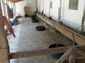Сельское хозяйство · 842 м² за 90 млн ₸ в  — фото 6