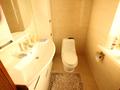 Отдельный дом · 3 комнаты · 320 м² · 8 сот., мкр Нурлытау (Энергетик) 56 — Звездная за ~ 1.7 млн ₸ в Алматы, Бостандыкский р-н — фото 25