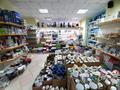 Магазины и бутики • 250 м² за 64 млн 〒 в Темиртау — фото 5