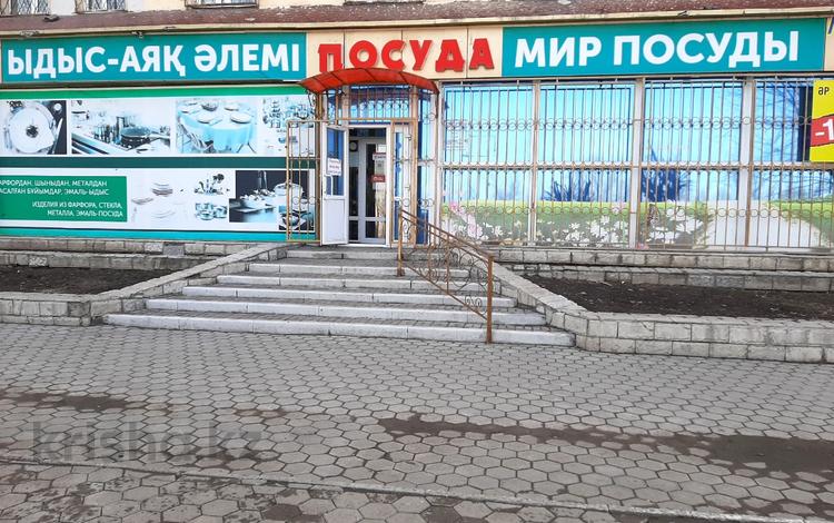 Магазины и бутики • 250 м² за 64 млн 〒 в Темиртау — фото 18